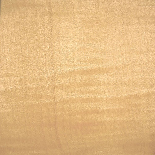 Klick zeigt Details von Ahorn Holzleiste  1 x  5 mm (10er-Pack)